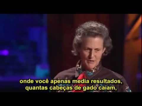 Imagem de Amostra do You Tube