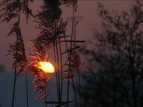 meditation cd - This is an excerpt from the Brainwaves Meditation CD
