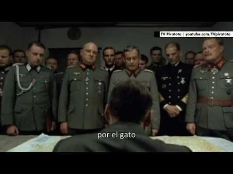 SE - Las rabiertas de Hitler, después de que se entera de que el gato Morris es candigato, y va arriba en las preferencias electorales de los comicios locales 2013.