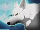 this vid is purely fan-madeanime: wolf's rainsong: make me believeartist: godsmack