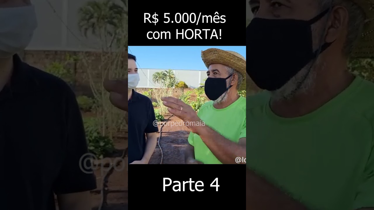 [PARTE 4] Como fazer 5.000 por mês com horta ?  #agricultura #agro #hortalicas #plantas