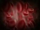 Prova Cel�lules Vermelles