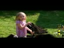 Must see funny
