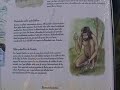 Hombre de las cavernas