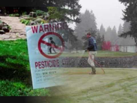 how to avoid water pollution