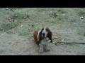 videos de Kelvin Day 7