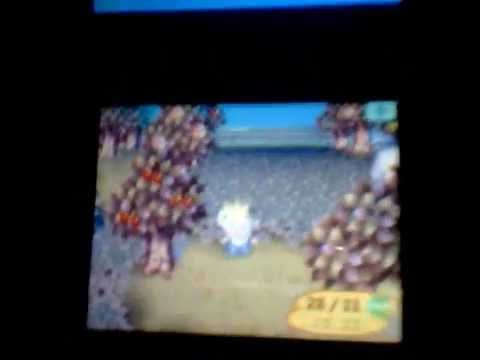 comment avoir l ile secrete dans animal crossing ds