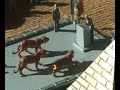 THE FOUNTAIN OF TRUTH diorama by The Dark Bob