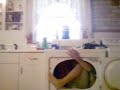 drier