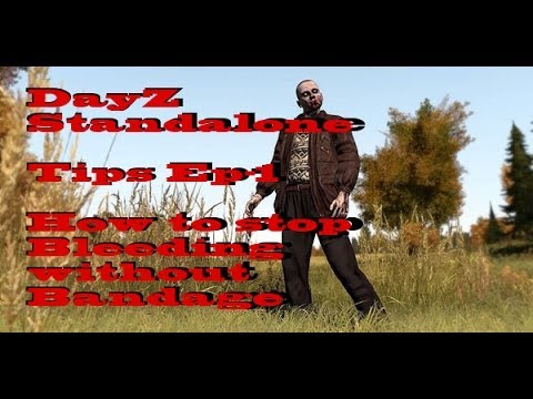 how to turn flashlight on day z