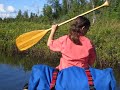 Moose in BWCA