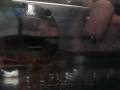 videos de MOV01215.MPG