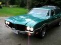 1972 Vista Cruiser, shining on