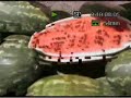 Ordu Kabata? sebze pazar? Ordu Kabata? sebze pazar?