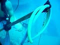 Spearfishing - Jew fish tries to eat AJ Spearfishing - Jew fish tries to eat AJ