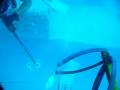 Spearfishing - Jew fish tries to eat AJ