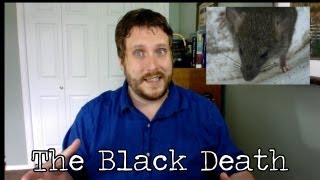 Black Death | Teacher's Lecture | 1347-1351