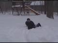 Arlo the Portuguese water dog plays in snow