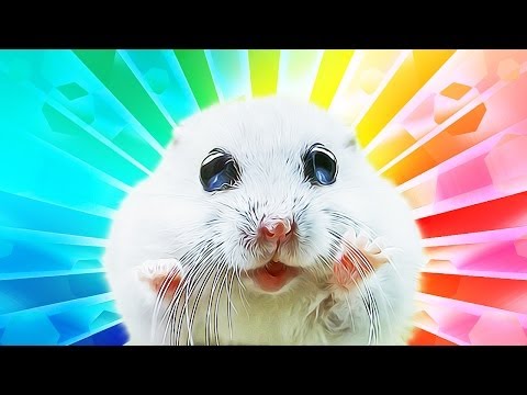 book - Markiplier's brain is being enraged to the MAX in the next adventure in The Impossible Quiz! Subscribe Today ▻ http://bit.ly/Markiplier MORE AWESOME GAMES ▻ ...