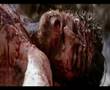Jesus Crucifixion
