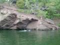Raystown Cliff jumping