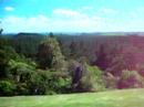 Aucklantida