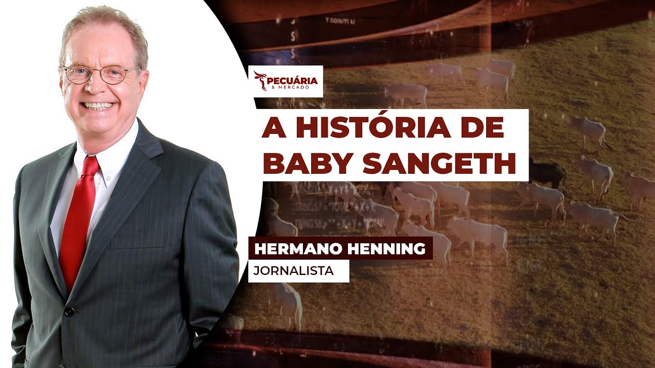 Égua Quarto de Milha completa 25 anos e precisa passar por prova de vida junto à Associação da...