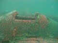 P-38 wing and vermillion rockfish P-38 wing and vermillion rockfish