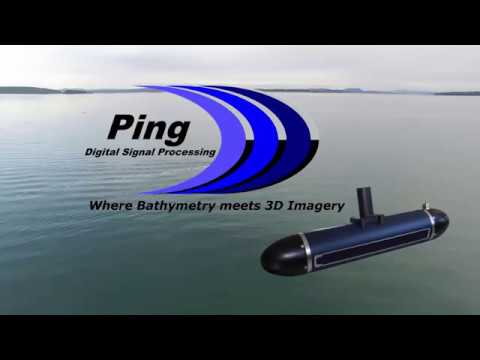 3DSS Demo Video