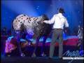 LE PLUS GRAND CABARET DU MONDE - Tony Hocheger -  Le cheval