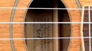 Mandolin 4 cordas de nylon - demo