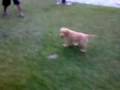 videos de Chelsie @ 6 weeks