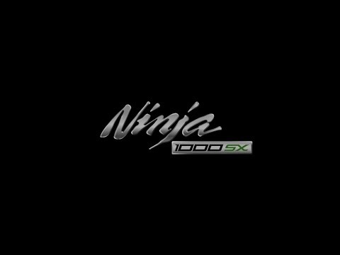 Kawasaki Ninja 1000SX en Milan