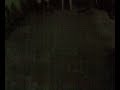 rek, super pop2x.mp4
