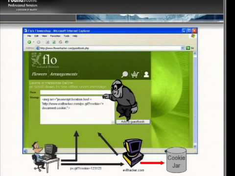 how to provide the security to the web application