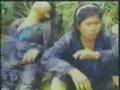 Ang Tunay na Kulay ng CPP/NPA 3