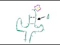 Antsy Pants - Tree Hugger (Video)