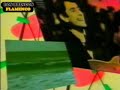 los brincos-flamenco