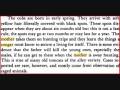 videos de Mother Cougar versus Male Grizzly Bear account 1.