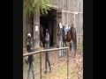 videos de we r beautiful.wmv