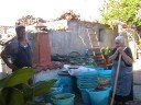 La vendemmia tra ansie, previsioni e bilanci; un filmato girato l'anno scorso da un gruppo di ragazzi villanovesi ci racconta in modo semplice e raffinato uno spaccato della vita contadina sarda.Dal taglio dell'uva alla preparazione del vino, il tutto accompagnato dalle saggie parole di Remigio Cilloco, che in lingua rigorosamente sarda descrive le varie operazioni che si susseguono. Il filmato si chiude con una speranza, quella che accompagna tutti dopo una vendemmia mo aspettausu a bessì bellu..