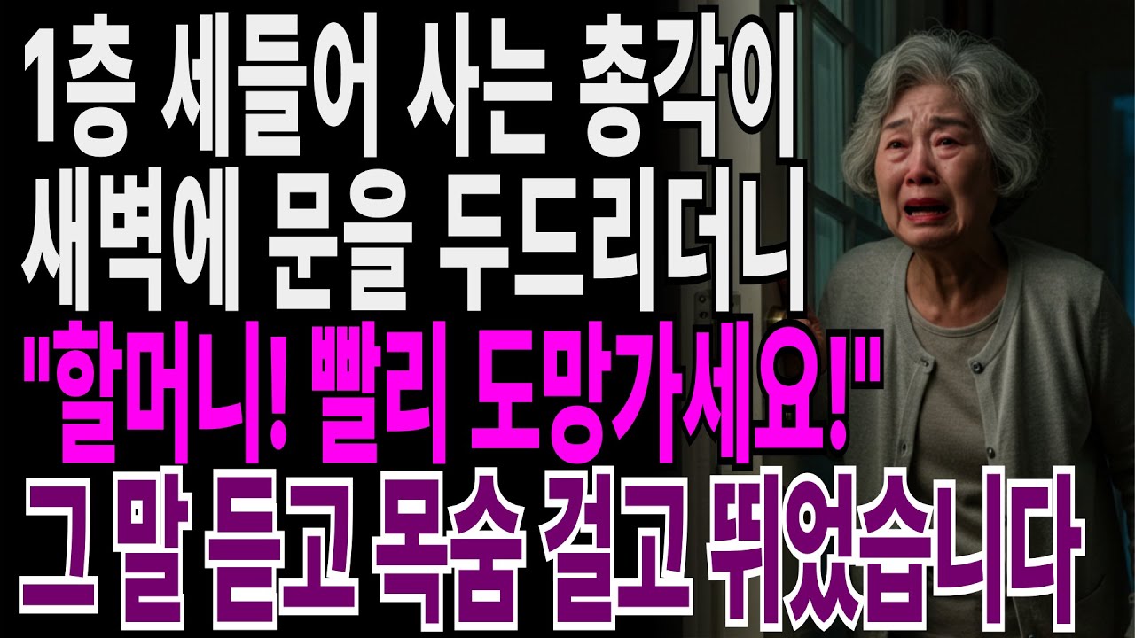 1층에 세들어 사는 총각이 새벽에 문을 두드리더니 "할머니! 빨리 도망가세요!" 그 말 듣고 목숨 걸고 뛰었습니다. |부모자식갈등 | 사연 이야기 | 오디오북