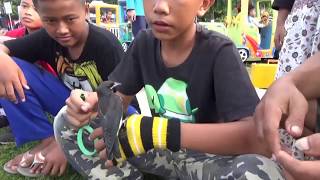 Download Hebat Sekali Anak Anak Ini Ahli Melatih Burung Kekep Babi