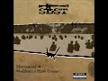 SDST-Ghid de Exprimare
