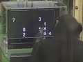 smart monkey