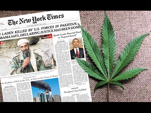 Hypocrites? New York Times Support Marijuana But Drug Tests