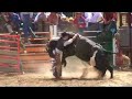 matt-darmody-ulverstone-pro-rodeo-2007.html