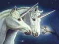 Unicorns Unicorns