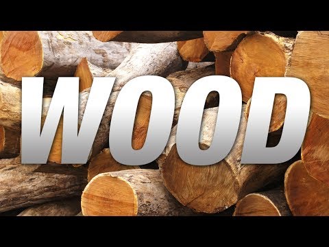 Training for the Championship (Woodcutter Simulator 2013)