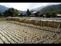 Takayama - Shirakawa-go - Nara